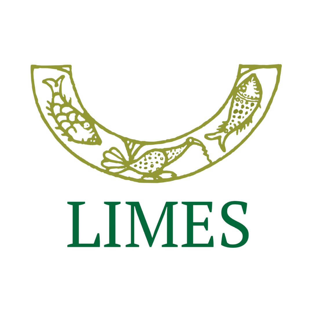 limesaps.it