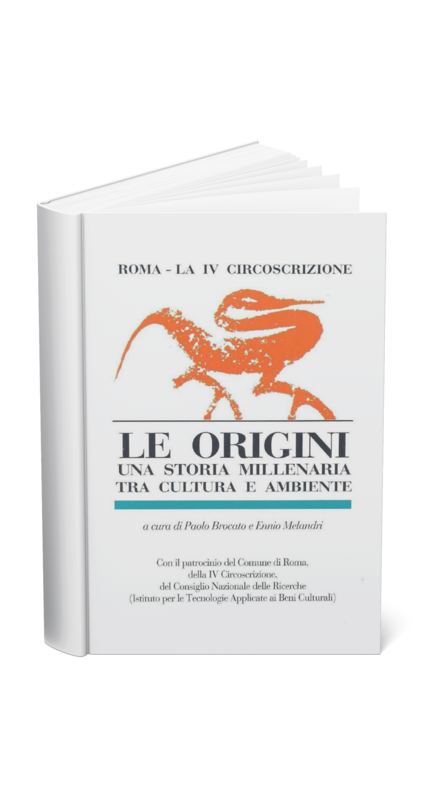 Le Origini: La IV Circoscrizione – Parte I